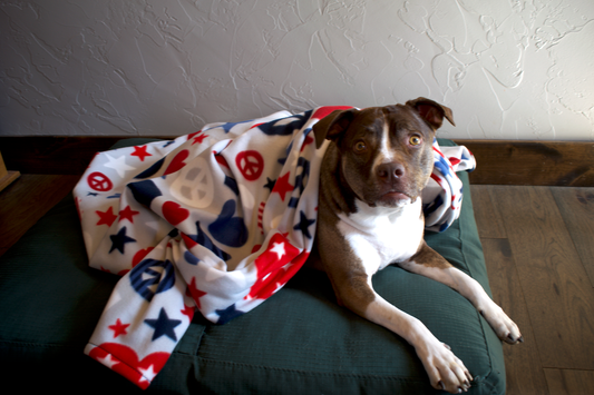 4th of July Blanket