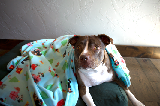Christmas Dog Gifts Blanket
