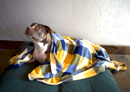 Blue & Yellow Squares Blanket