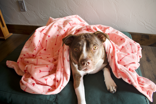 Cupid Arrows Blanket