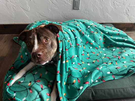 Christmas Lights Blanket